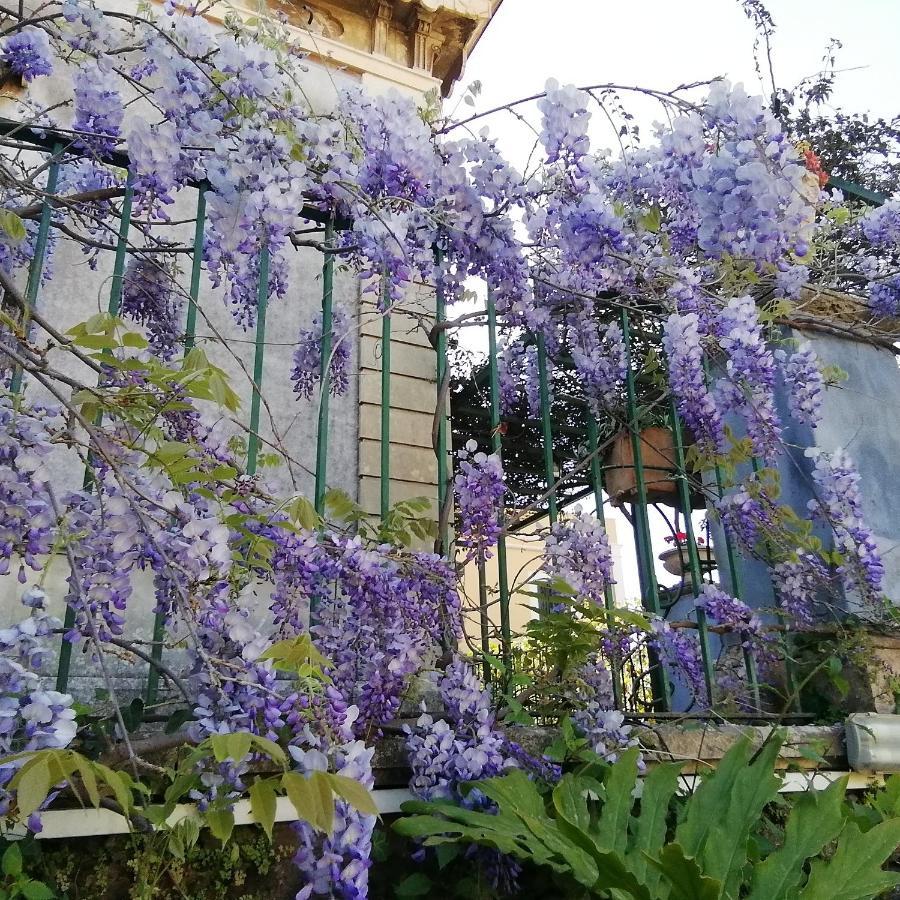 Villa Manasse Aci Castello Exterior photo